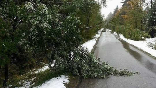 Pierwszy śnieg wyrządził wiele szkód