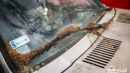 Właścicielu, to ja, twoje auto !