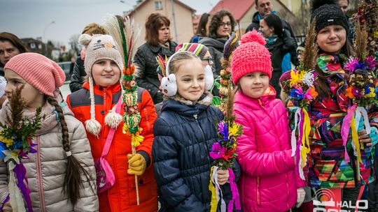 Która z palm była najwyższa?