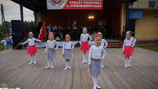 Niech żyje nam OSP Dominikowice!