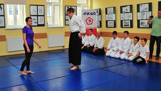 Aktywna niedziela, pokaz aikido i warsztaty bonsai