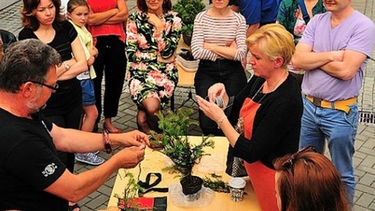 Aktywna niedziela, pokaz aikido i warsztaty bonsai