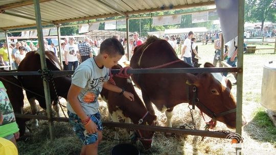 Nasi wystawcy i producenci z Agropromocji wrócili z nagrodami