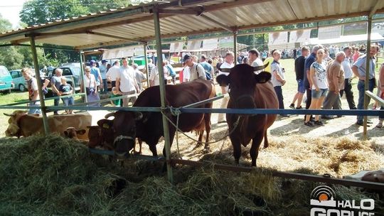 Nasi wystawcy i producenci z Agropromocji wrócili z nagrodami