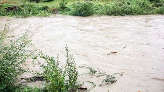 Pogarsza się sytuacja hydrologiczna w naszym powiecie