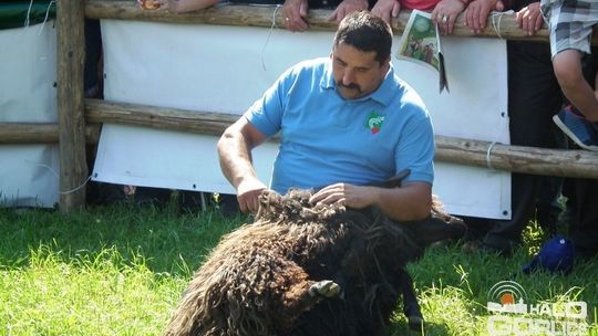 Nasi wystawcy i producenci z Agropromocji wrócili z nagrodami