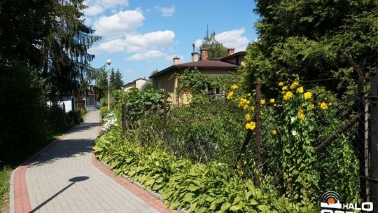 Szlakiem gorlickich osiedli: Osiedle Krasińskiego