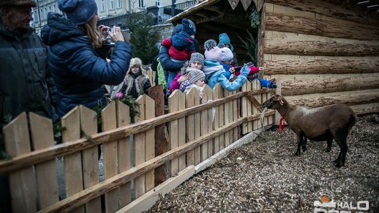 Żywa szopka i gorlicka Wigilia, Świąteczny Jarmark trwa