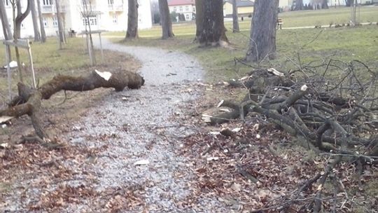 Halny daje się nam we znaki