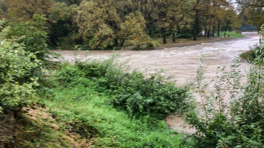 Pogarsza się sytuacja hydrologiczna w naszym powiecie