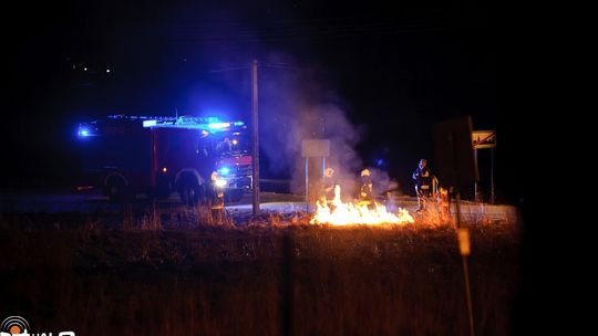 Gaszenie płonącej trawy w Dominikowicach