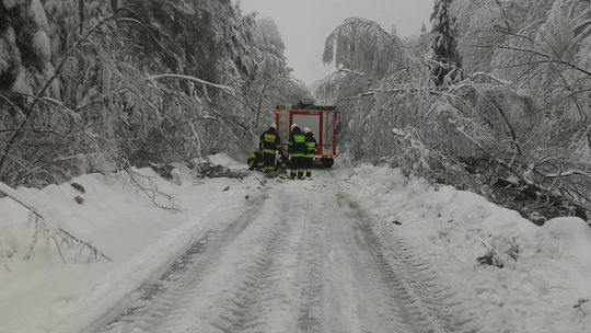 Ile jeszcze będzie wiało?