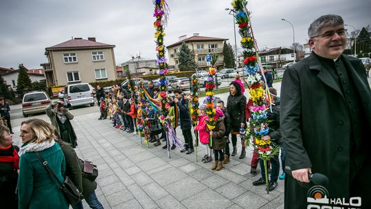 Która z palm była najwyższa?