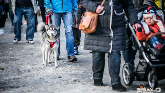 Na gorlickim Rynku zrobiło się świątecznie