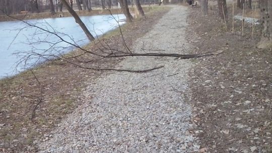 Halny daje się nam we znaki