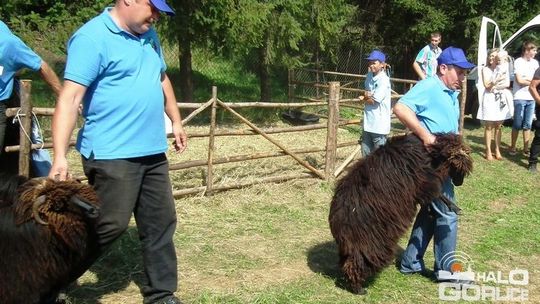 Nasi wystawcy i producenci z Agropromocji wrócili z nagrodami