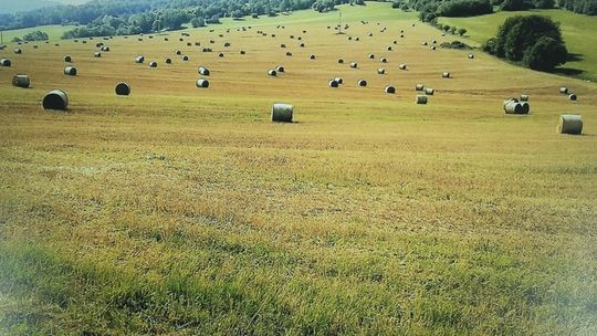 Osobliwości ziemi gorlickiej