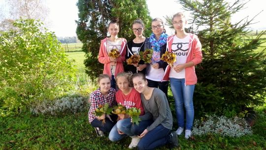 Zespół Szkół w Kobylance w międzynarodowym projekcie ERASMUS+ „Our landscape. Our Home. Our school!