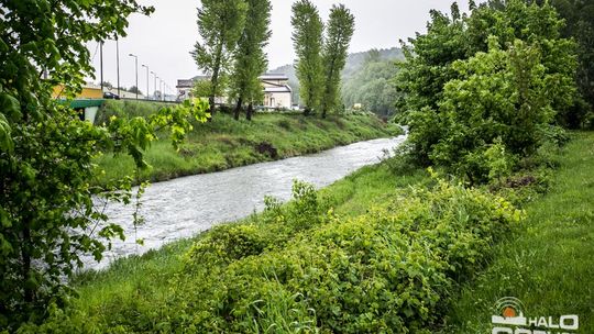 Ropa i Sękówka spokojne ale zimni ogrodnicy w natarciu