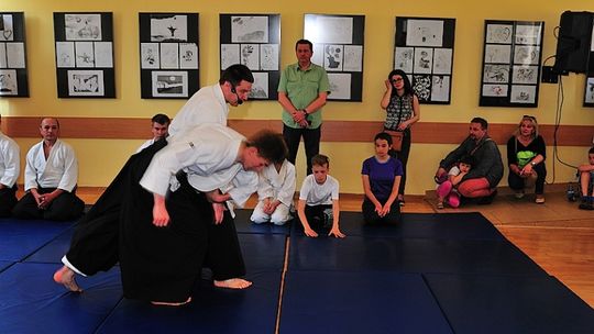 Aktywna niedziela, pokaz aikido i warsztaty bonsai