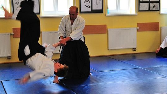 Aktywna niedziela, pokaz aikido i warsztaty bonsai