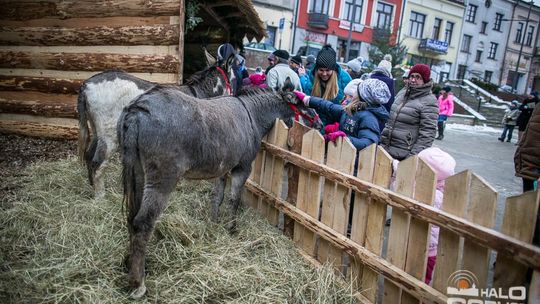 Żywa szopka i gorlicka Wigilia, Świąteczny Jarmark trwa