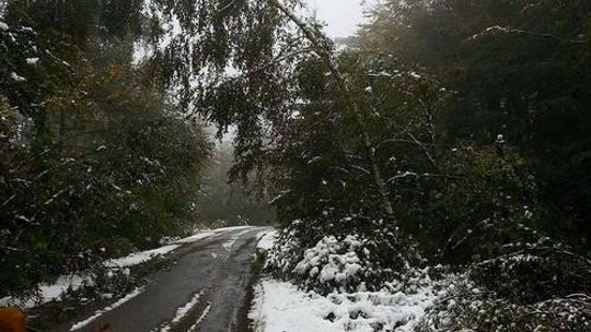 Pierwszy śnieg wyrządził wiele szkód