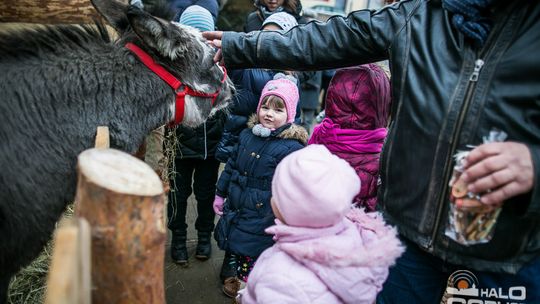 Żywa szopka i gorlicka Wigilia, Świąteczny Jarmark trwa