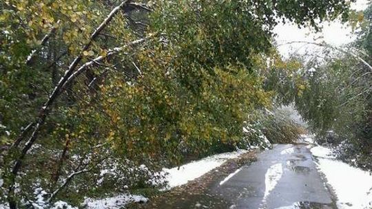 Pierwszy śnieg wyrządził wiele szkód