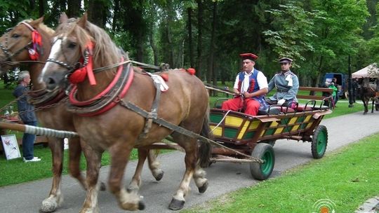 Wszystkie drogi prowadzą do Wysowej