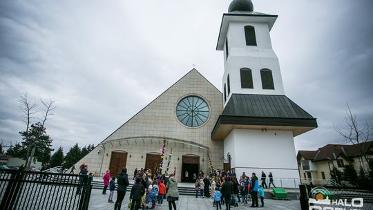 Która z palm była najwyższa?