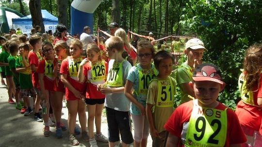 Olimpijski ogień zapłonął w Wysowej-Zdoju