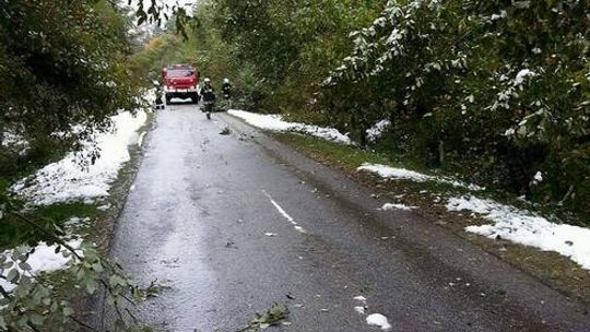 Pierwszy śnieg wyrządził wiele szkód