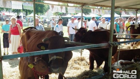 Nasi wystawcy i producenci z Agropromocji wrócili z nagrodami