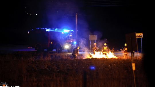 Gaszenie płonącej trawy w Dominikowicach