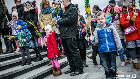 Która z palm była najwyższa?