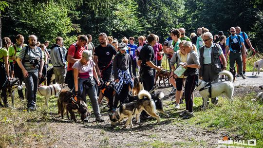 Dogtrekking na 368 psich łap