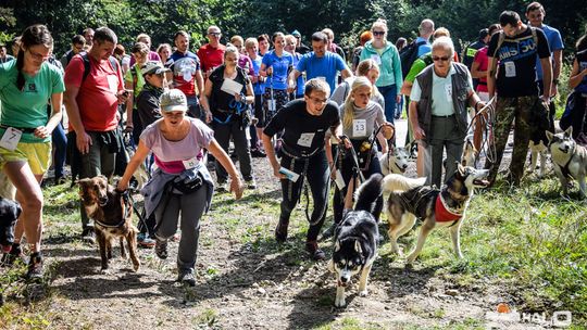 Dogtrekking na 368 psich łap