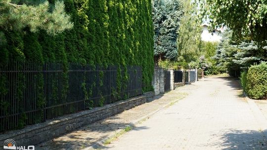 Szlakiem gorlickich osiedli: Osiedle Młodych