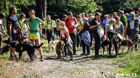 Dogtrekking na 368 psich łap