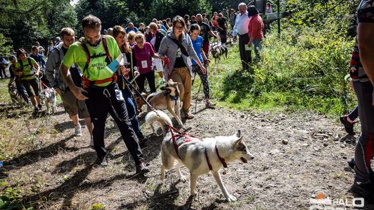 Dogtrekking na 368 psich łap