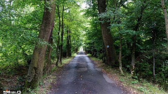 Szlakiem gorlickich osiedli: Osiedle Korczak