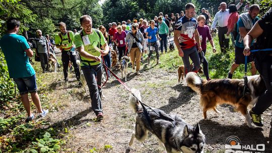 Dogtrekking na 368 psich łap