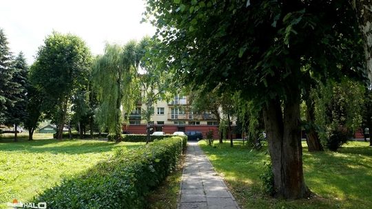 Szlakiem gorlickich osiedli: Osiedle Dolne