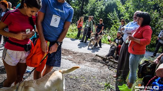 Dogtrekking na 368 psich łap