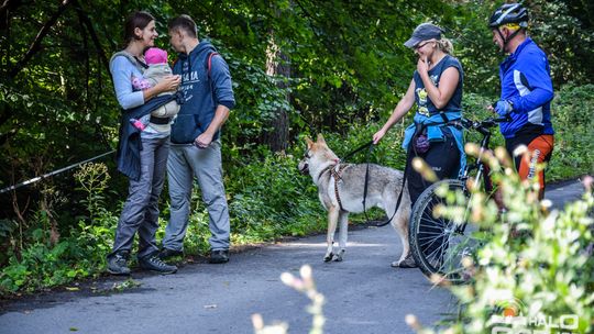 Dogtrekking na 368 psich łap