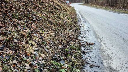 Hucisko i Zapadka, czyli rzecz o osuwiskach w Bielance