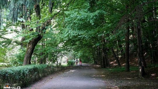 Park Miejski dla gorliczan