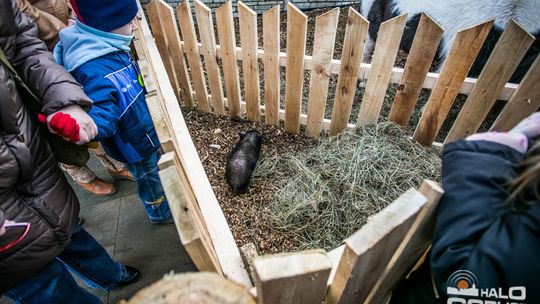 IV Gorlicka Wigilia na zakończenie Świątecznego Jarmarku