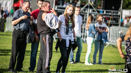 Gorączka letniej nocy